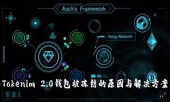 Tokenim 2.0钱包被冻结的原因与解决方案