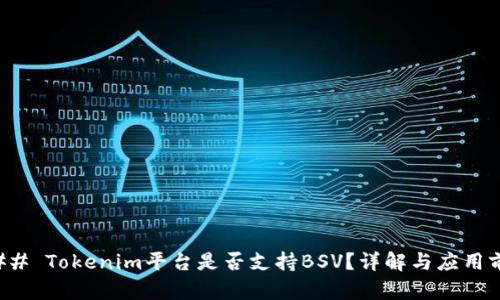 ### Tokenim平台是否支持BSV？详解与应用前景