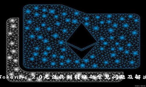 解决Tokenim 2.0无法收到转账的常见问题及解决方法