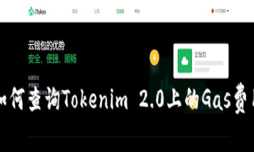 如何查询Tokenim 2.0上的Gas费用