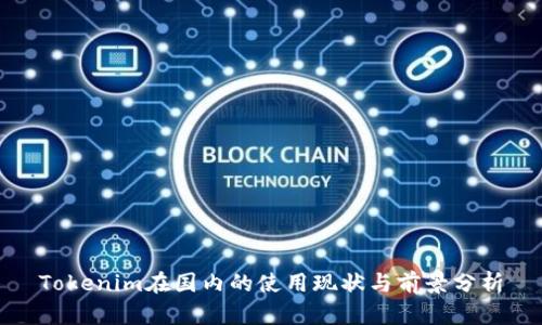 Tokenim在国内的使用现状与前景分析
