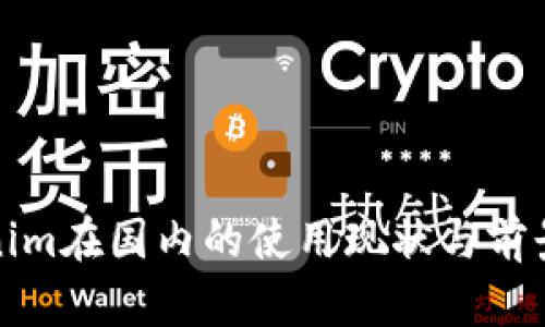 Tokenim在国内的使用现状与前景分析