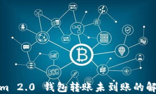 
Tokenim 2.0 钱包转账未到账的解决方案