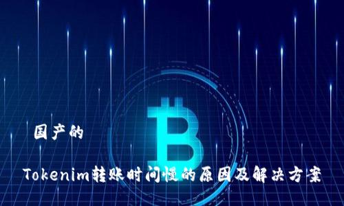  国产的 

Tokenim转账时间慢的原因及解决方案