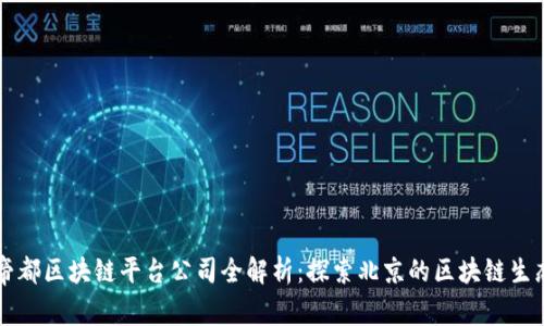 帝都区块链平台公司全解析：探索北京的区块链生态