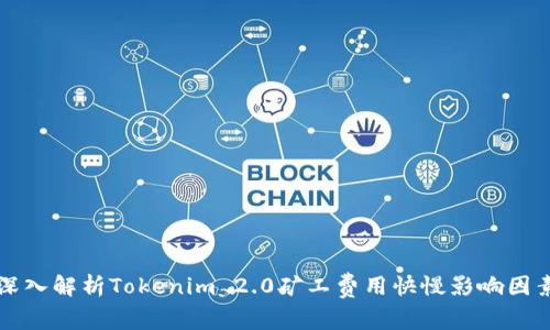 深入解析Tokenim 2.0矿工费用快慢影响因素