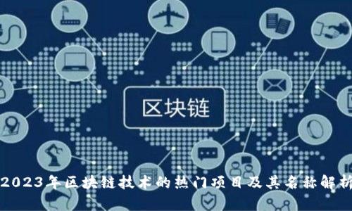 2023年区块链技术的热门项目及其名称解析