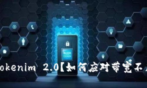 什么是 Tokenim 2.0？如何应对带宽不足的问题？