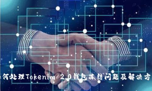 如何处理Tokenim 2.0钱包冻结问题及解决方案