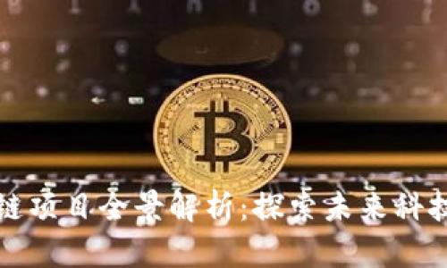 杭州区块链项目全景解析：探索未来科技创新之路