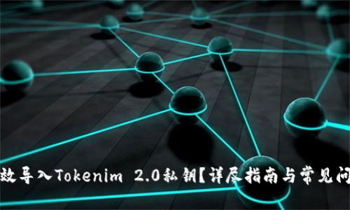 如何有效导入Tokenim 2.0私钥？详尽指南与常见问题解答