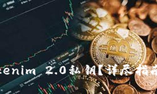 如何有效导入Tokenim 2.0私钥？详尽指南与常见问题解答