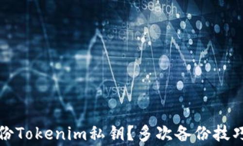 
如何安全备份Tokenim私钥？多次备份技巧与注意事项