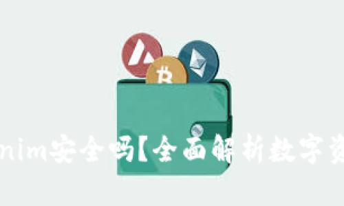 币放在Tokenim安全吗？全面解析数字资产的安全性