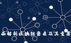 全面解析区块链资质及其重要性