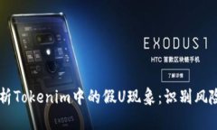 ## 深入解析Tokenim中的假U现象：识别风险与应对策
