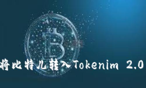 如何顺利将比特儿转入Tokenim 2.0：全面指南