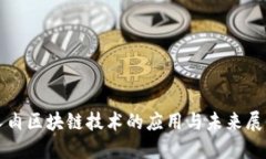 人肉区块链技术的应用与未来展望