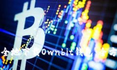 如何安全地下载Ownbit钱包：全方位指南