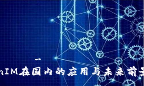 лючие-вопросы  
TokenIM在国内的应用与未来前景分析