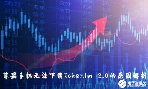 苹果手机无法下载Tokenim 2.0的原因解析