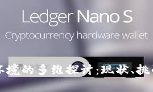 区块链生存环境的多维探讨：现状、挑战与未来发展