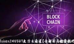 TokenIMUSDT走什么通道？全解析与投资技巧