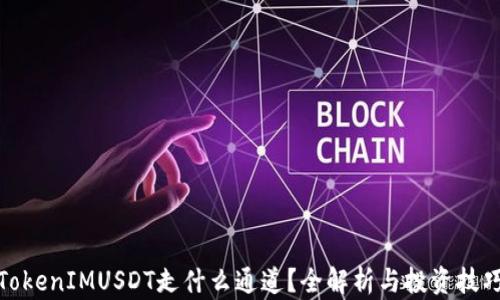 
TokenIMUSDT走什么通道？全解析与投资技巧