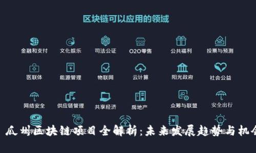 : 瓜州区块链项目全解析：未来发展趋势与机会