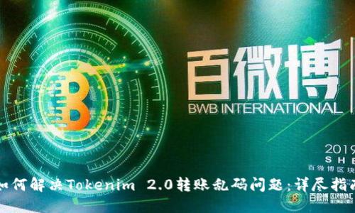 如何解决Tokenim 2.0转账乱码问题：详尽指南