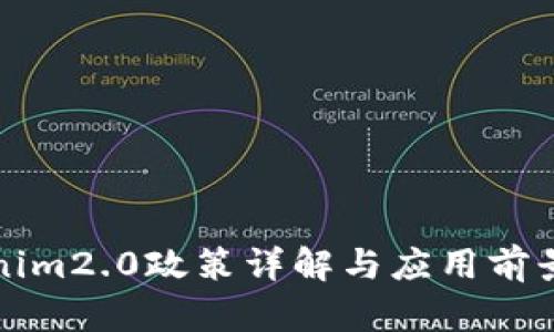 tokenim2.0政策详解与应用前景分析