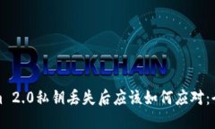 Tokenim 2.0私钥丢失后应该如何应对：全面指南