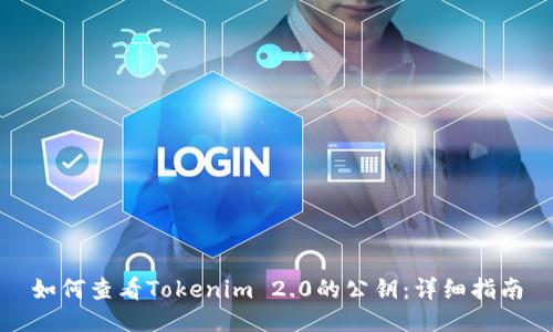如何查看Tokenim 2.0的公钥：详细指南