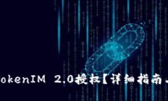 如何调用TokenIM 2.0授权？详细指南与实用技巧