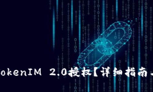如何调用TokenIM 2.0授权？详细指南与实用技巧