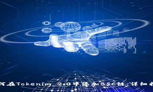 如何在Tokenim 2.0中添加BSC链：详细指南