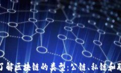 深入了解区块链的类型：公链、私链和联盟链