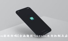 Tokenim能冻结吗？全面解析Tokenim冻结机制与应用实
