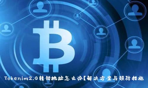 Tokenim2.0转错地址怎么办？解决方案与预防措施
