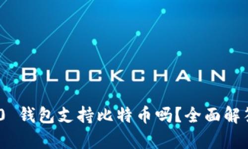 Tokenim 2.0 钱包支持比特币吗？全面解答及深入解析