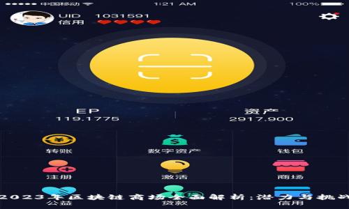 2023年区块链商场全面解析：潜力与挑战