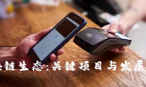 美国区块链生态：关键项目与发展趋势全览