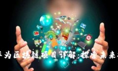 ### 重庆华为区块链项目详解：探索未来技术的新