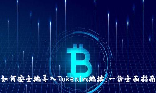 如何安全地导入Tokenim地址：一份全面指南