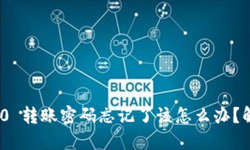 Tokenim 2.0 转账密码忘记了该怎么办？解决方案一览