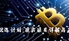 区块链优选计划：顶尖项目详解与未来前景