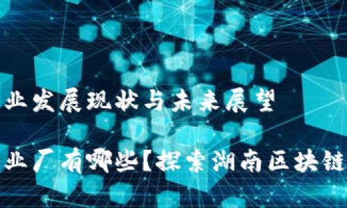 湖南区块链产业发展现状与未来展望

湖南区块链产业厂有哪些？探索湖南区块链创新发展之路