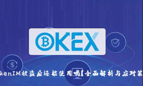 TokenIM被盗后还能使用吗？全面解析与应对策略