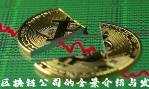 
邳州市区块链公司的全景介绍与发展现状