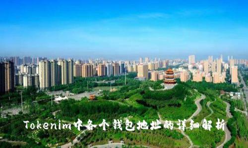 Tokenim中各个钱包地址的详细解析